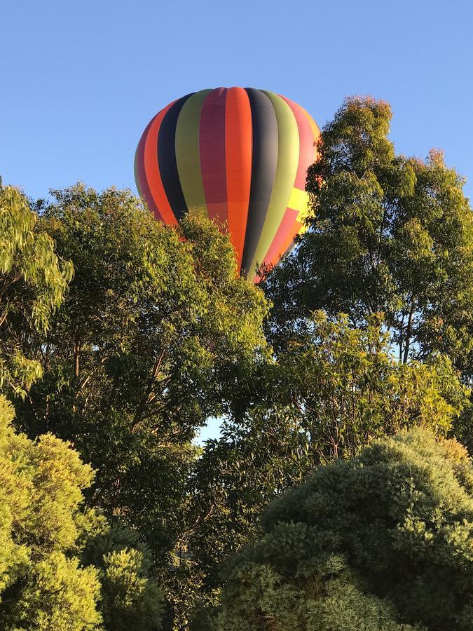 Rothbury Gumnut Grove The Vintageヴィラ エクステリア 写真